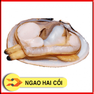 NGAO HAI CỒI